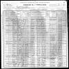 1900 US Census Mary Hoffman and Family