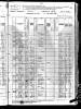 1880 US Census Mickelberry Bush and Family