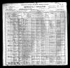 1900 US Census Clara Toler and Family