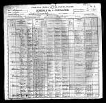 1900 US Census Clara Toler and Family