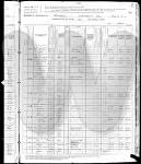 1880 US Census Emanuell Toler and Family