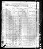 1880 US Census Spottswood Tinsley