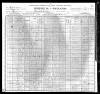 1900 US Census Peter Toler and Family