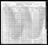 1900 US Census Peter Toler and Family