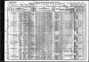 1910 US Census Peter Toler and his Family