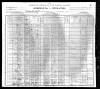 1900 US Census Leander Calloway Toler and his family