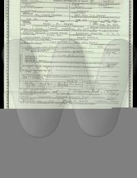 Henry Preston Towler Death Certificate